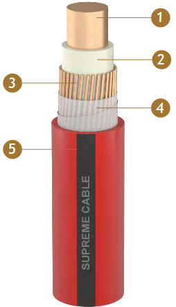 FLN2XCY Schematic Drawing