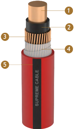 FLYCY Schematic Drawing