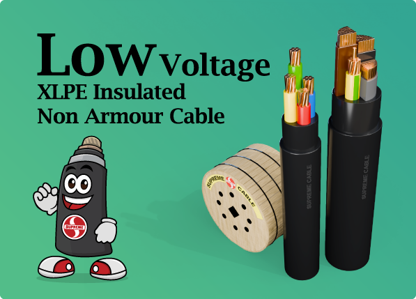 Low Voltage XLPE Non-Armou