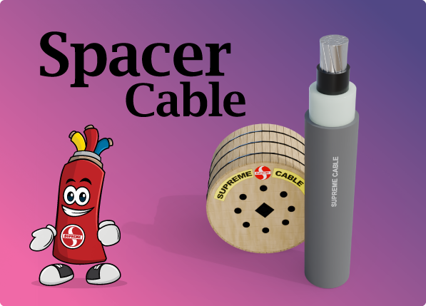 Spacer Cable